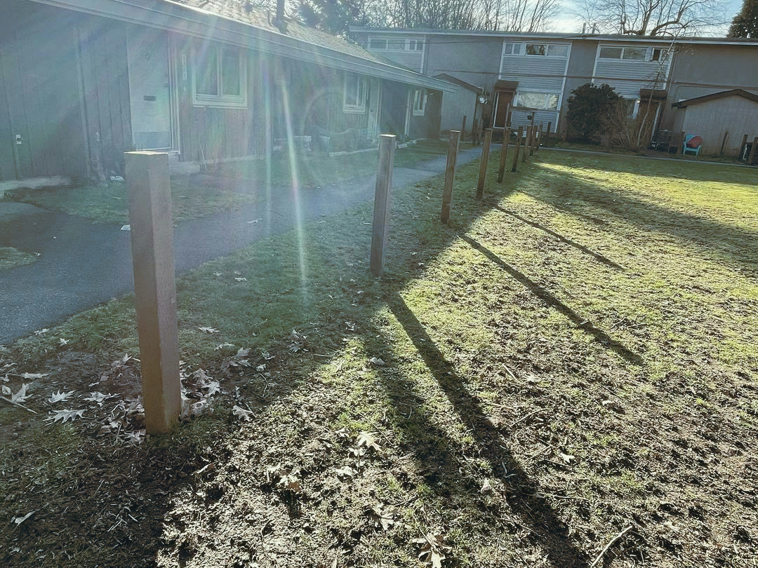 Pressure-treated posts newly set in a line across open lawn in front of a single-storey residential block, before any boards went on.